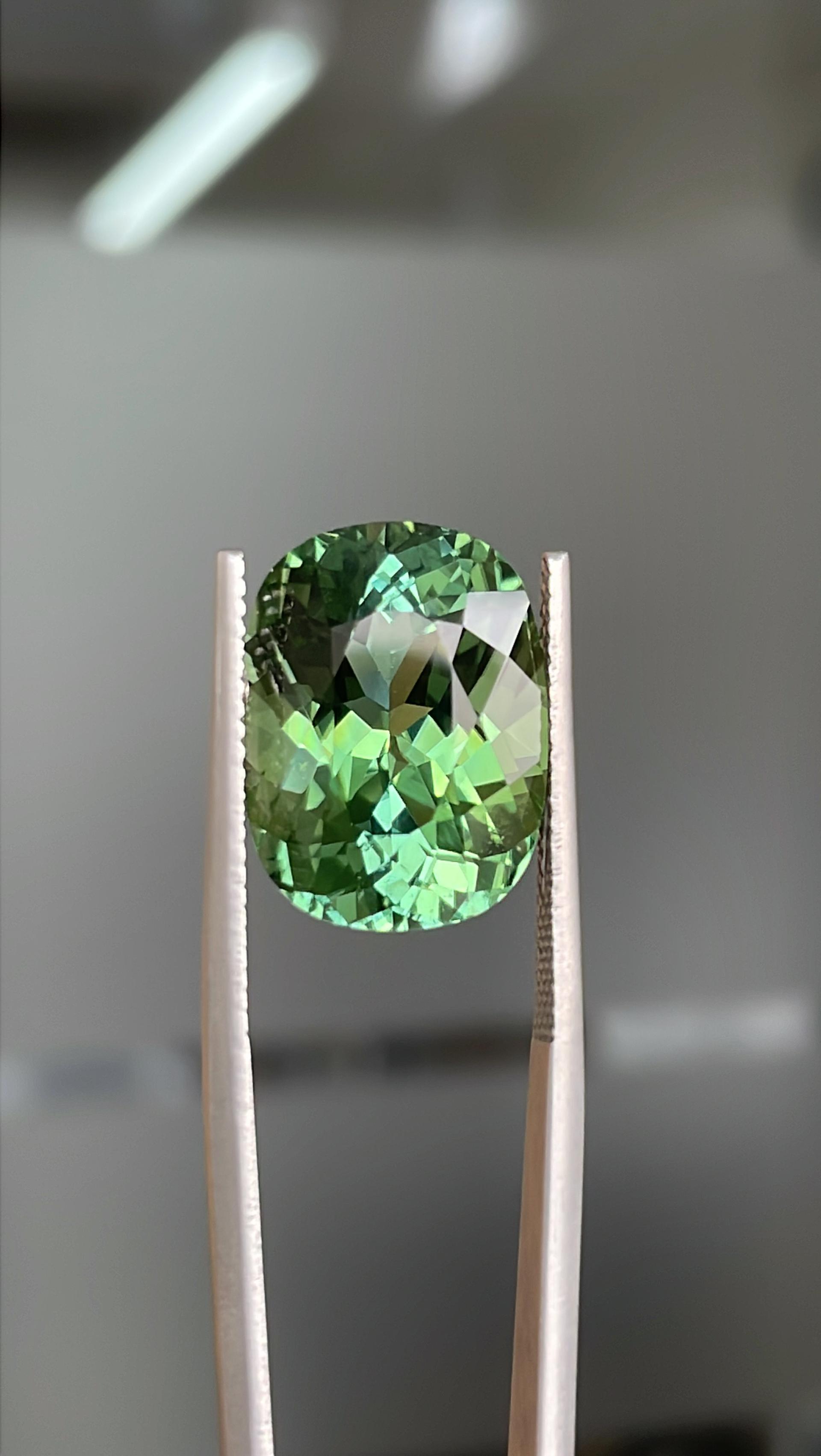 cotton green green tourmaline, 12.2ct cushion cut — view 5