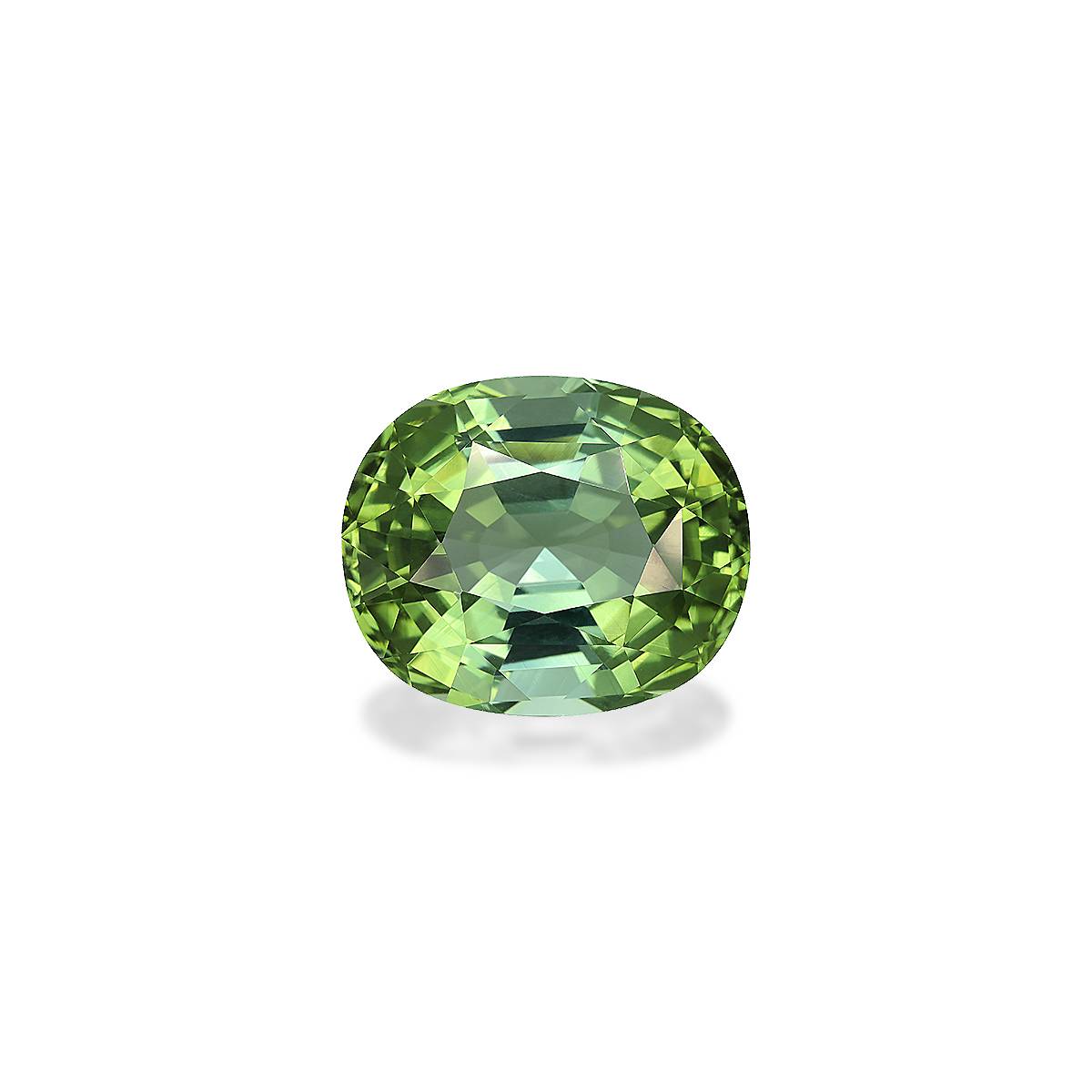 Pale Green Tourmaline 27ct