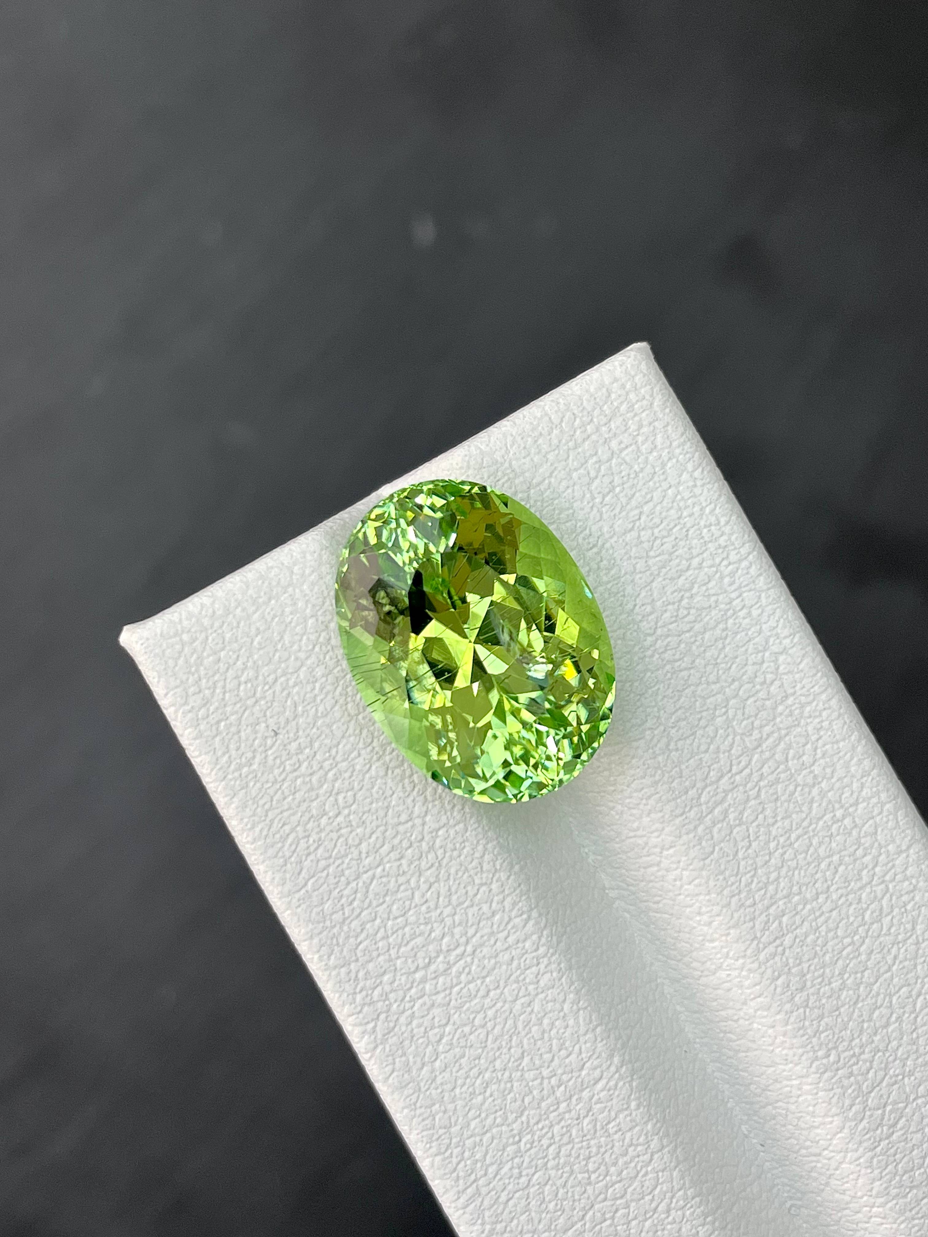 cotton green green tourmaline, 14.28ct oval cut — view 5