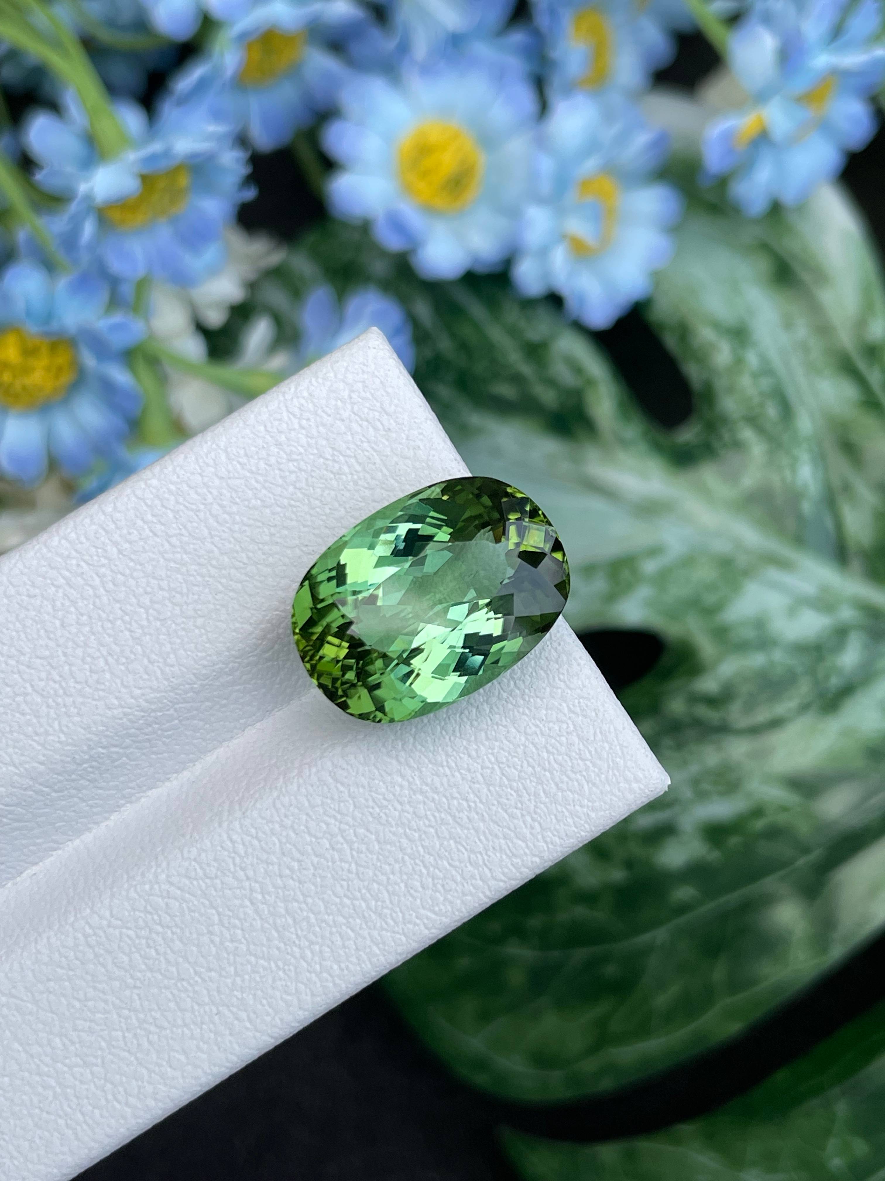 green green tourmaline, 12.49ct cushion cut — view 5