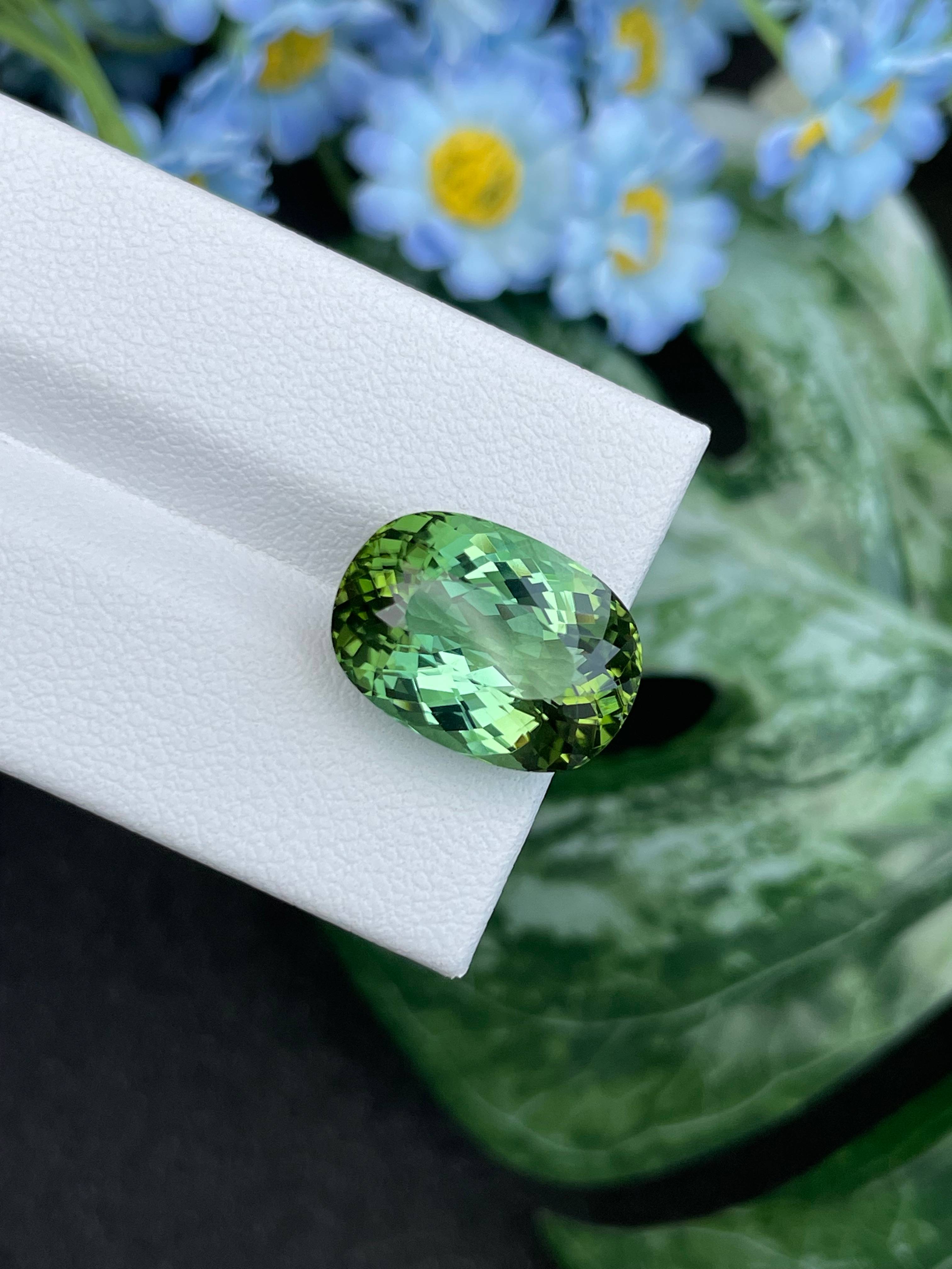 green green tourmaline, 12.49ct cushion cut — view 6