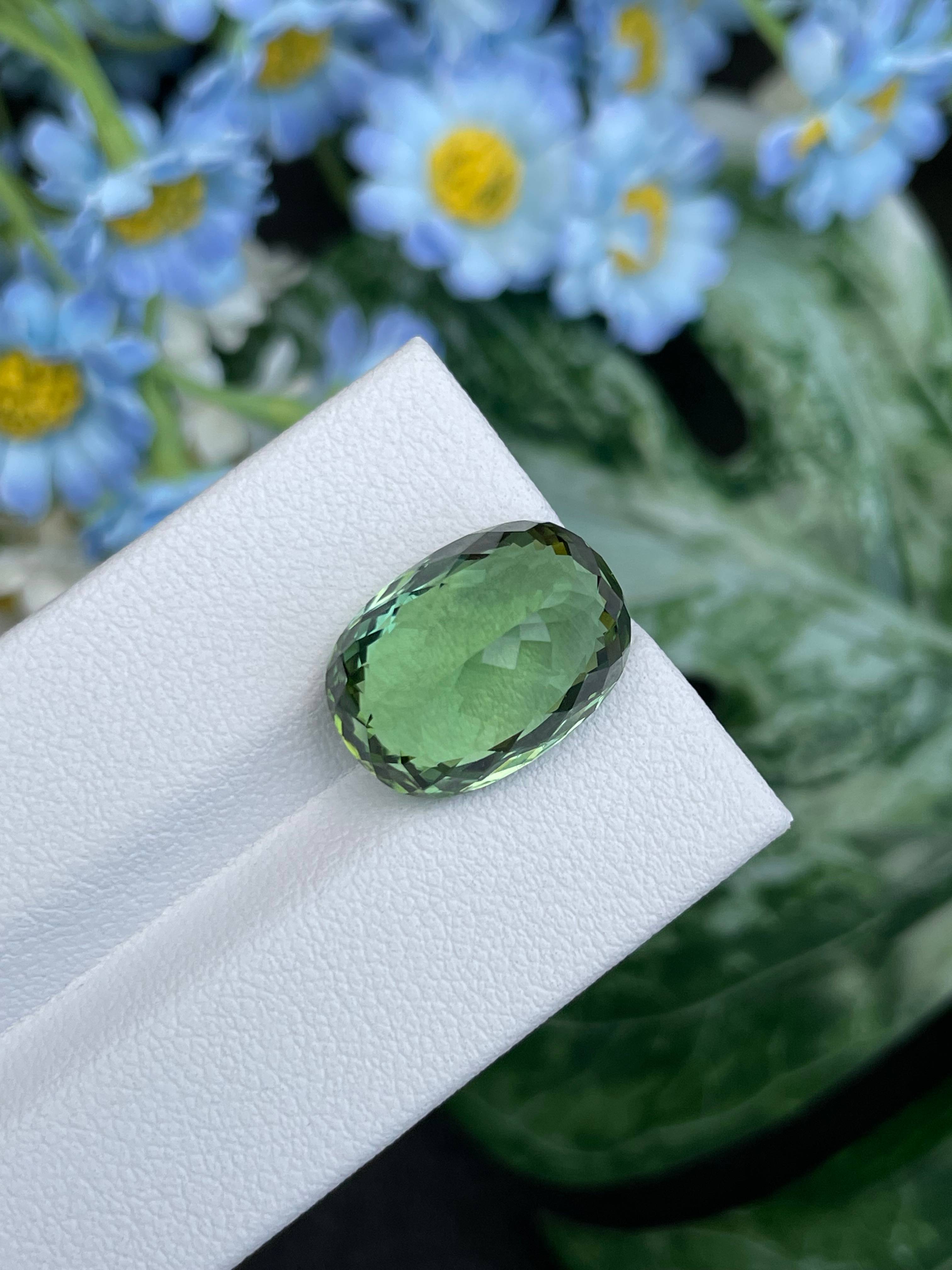 green green tourmaline, 12.49ct cushion cut — view 7
