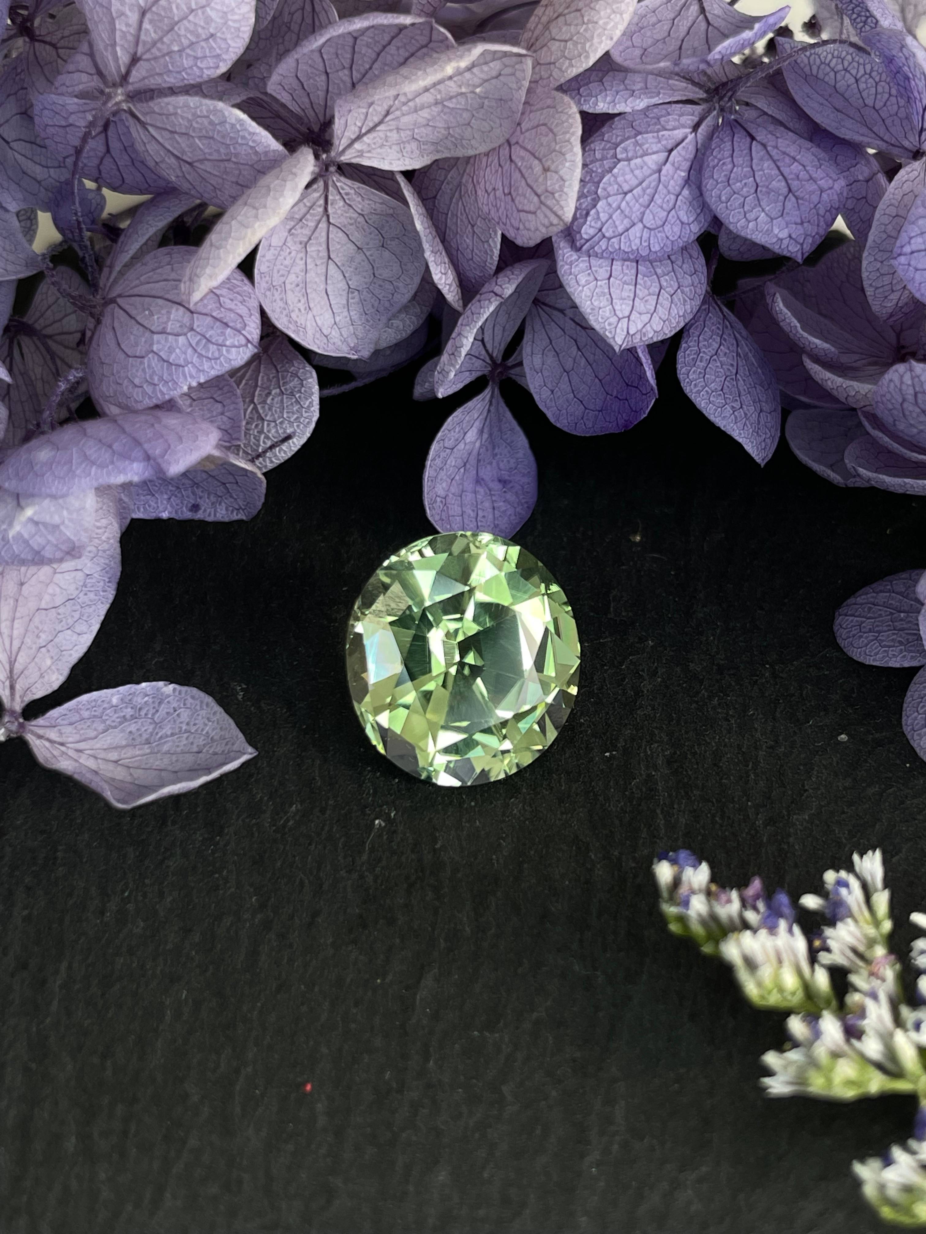 pale green green tourmaline, 7.64ct oval cut — view 5