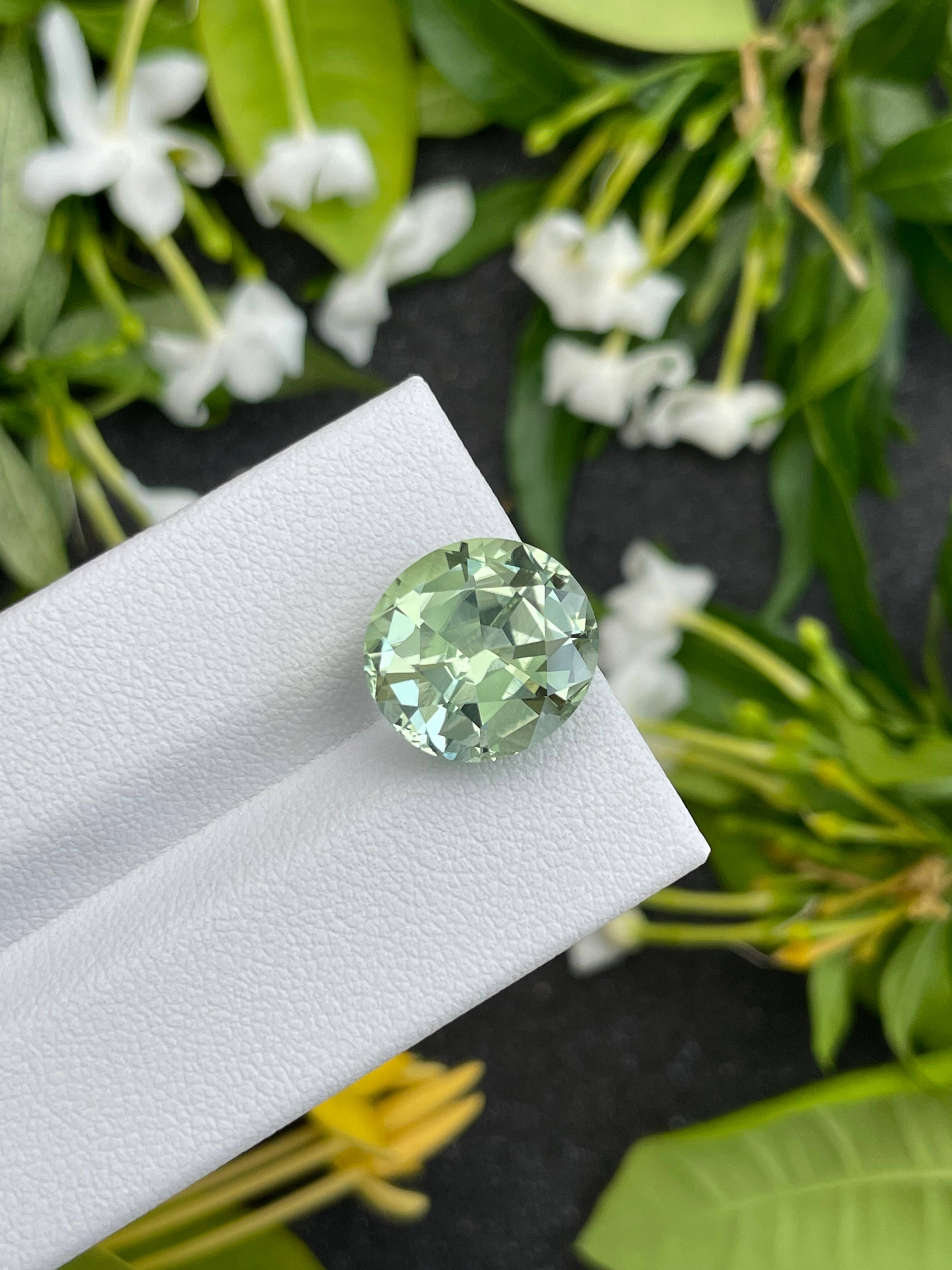 pale green green tourmaline, 7.64ct oval cut — view 7