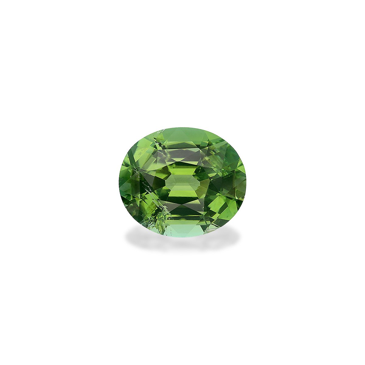 olive green green tourmaline, 7.91ct oval cut — main view
