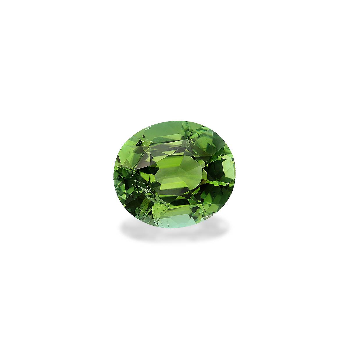 olive green green tourmaline, 7.91ct oval cut — view 3