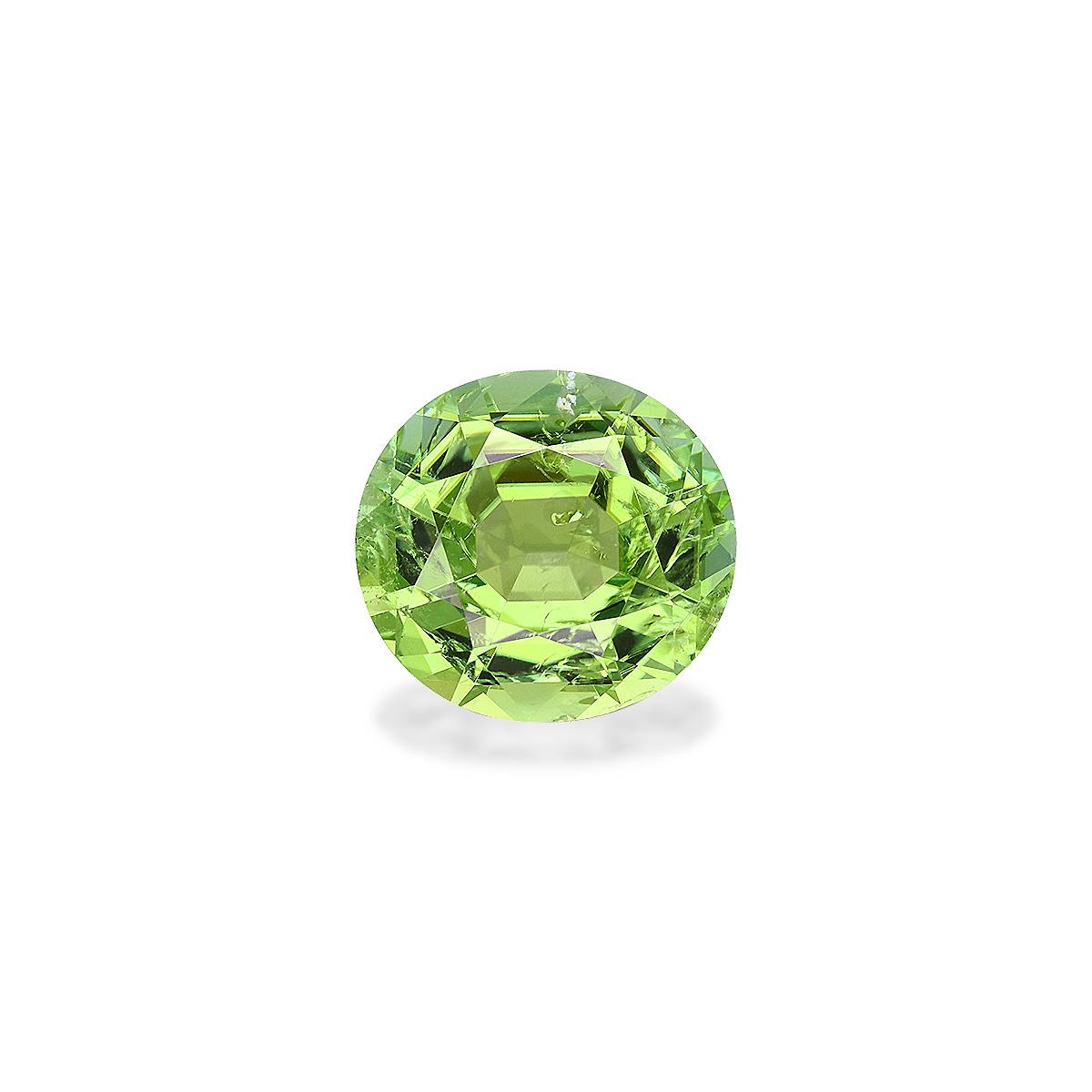 Green Tourmaline 6.53ct