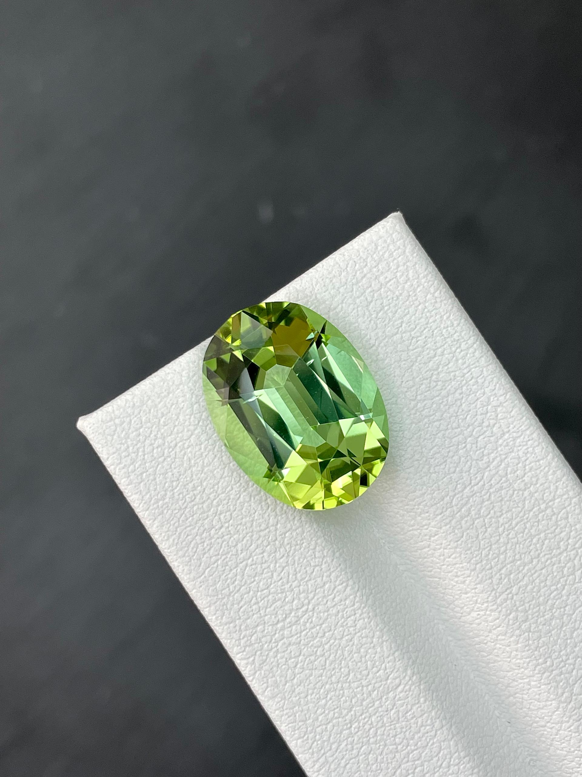 pistachio green green tourmaline, 12.16ct oval cut — view 5