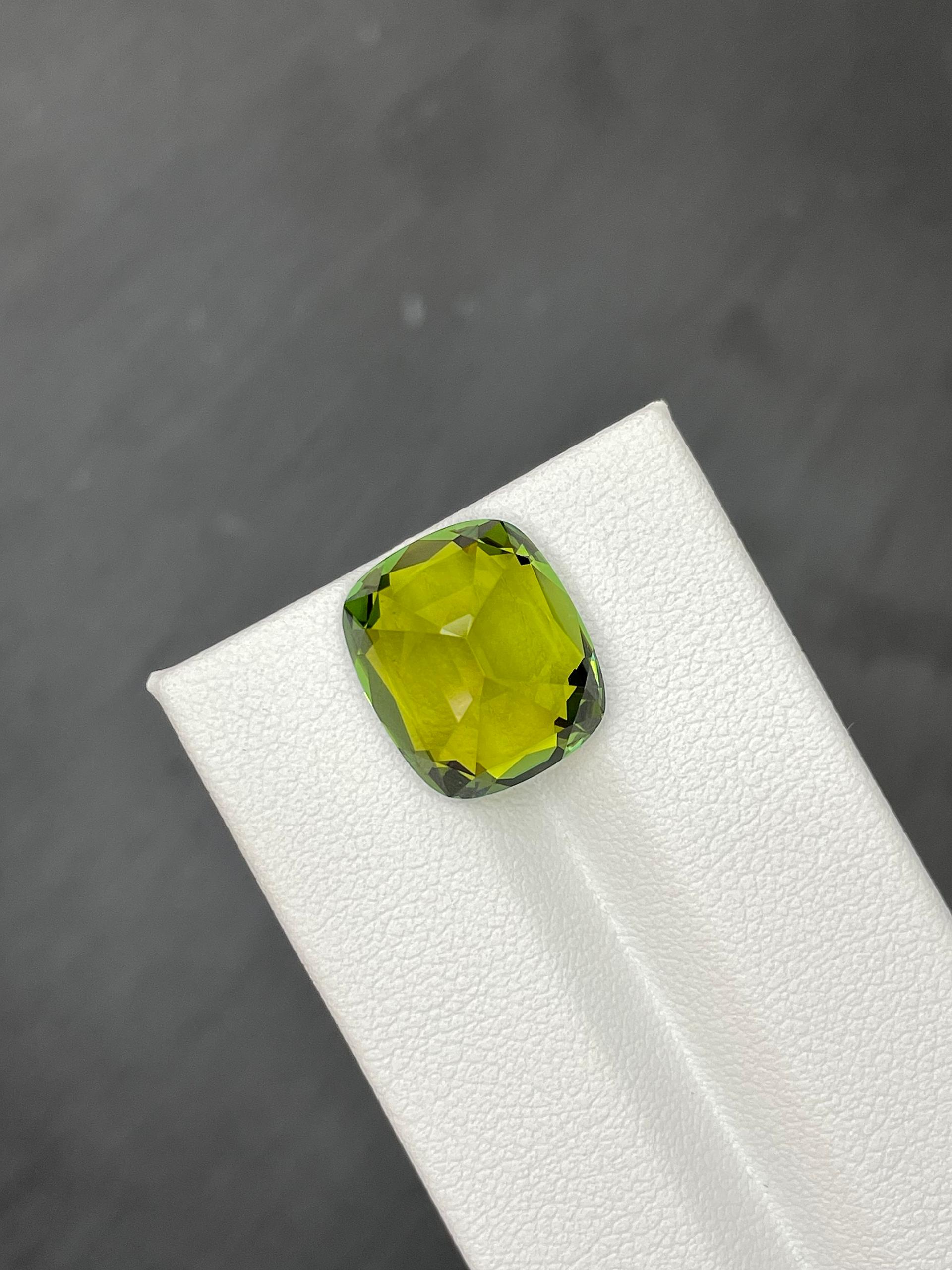 moss green green tourmaline, 9.74ct cushion cut — view 6