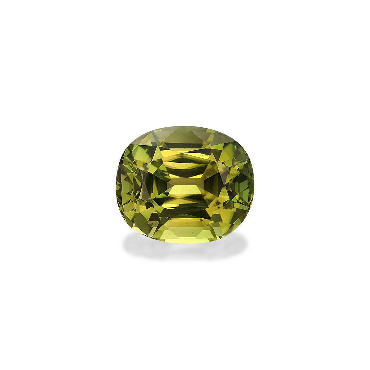 Forest Green Tourmaline 6.18ct - 12x10mm