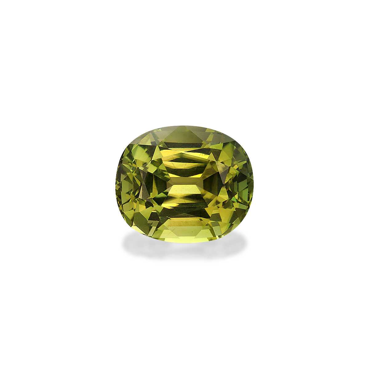 Forest Green Tourmaline 6.18ct - 12x10mm