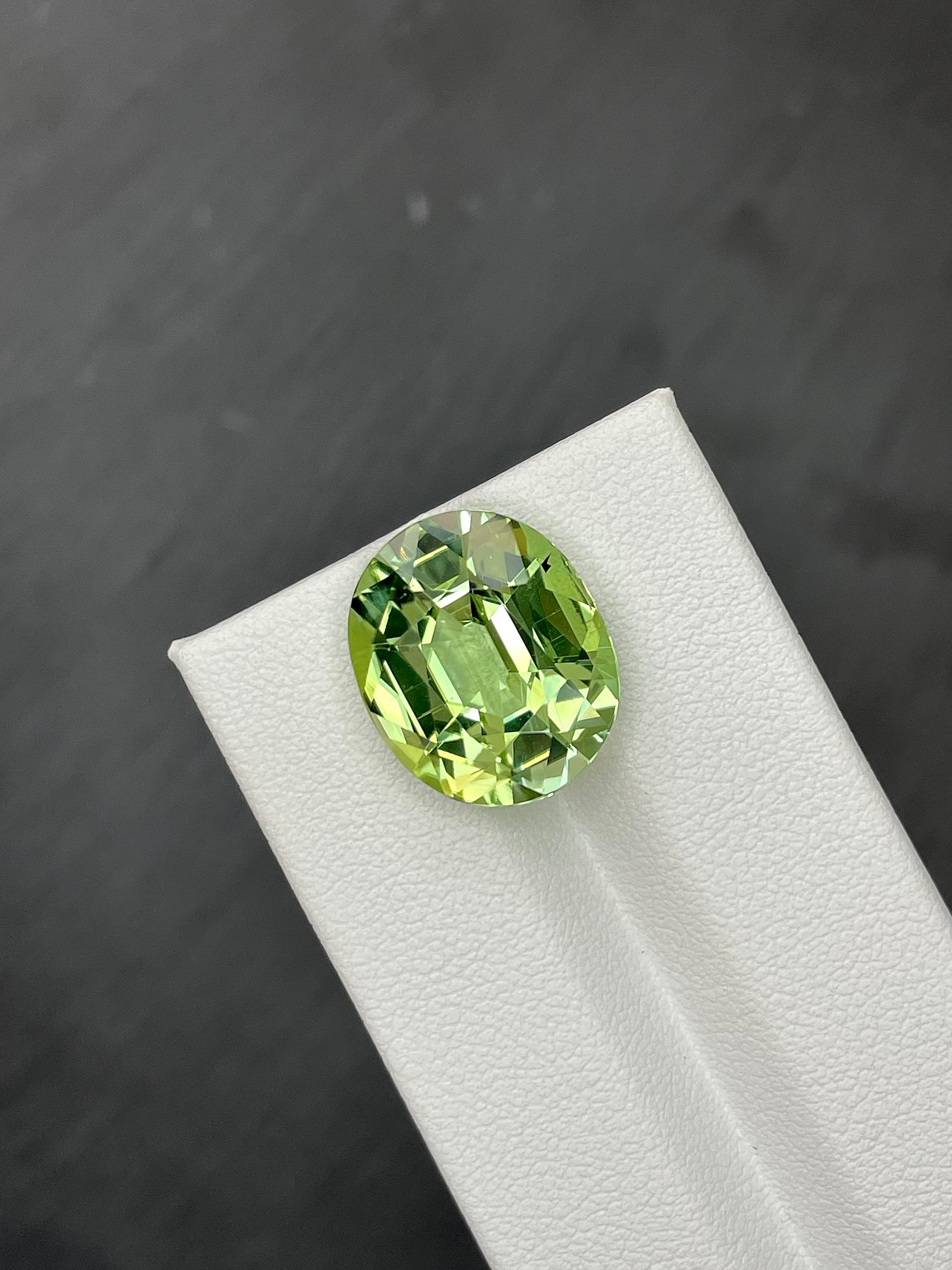 seafoam green green tourmaline, 11.5ct oval cut — view 5