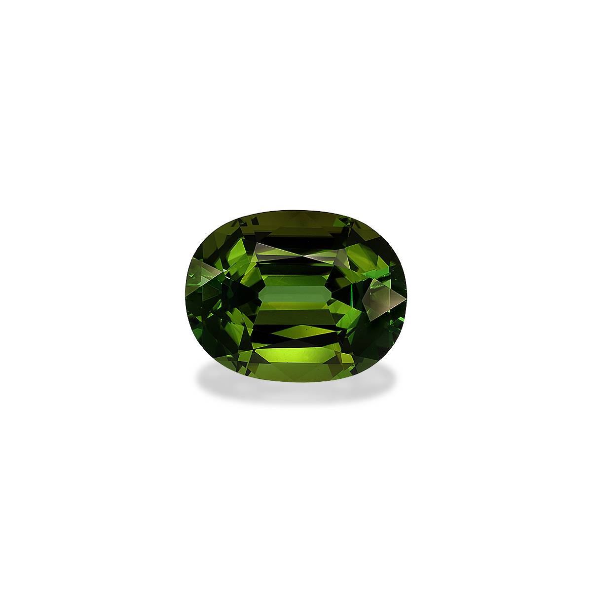 Forest Green Tourmaline 21.76ct