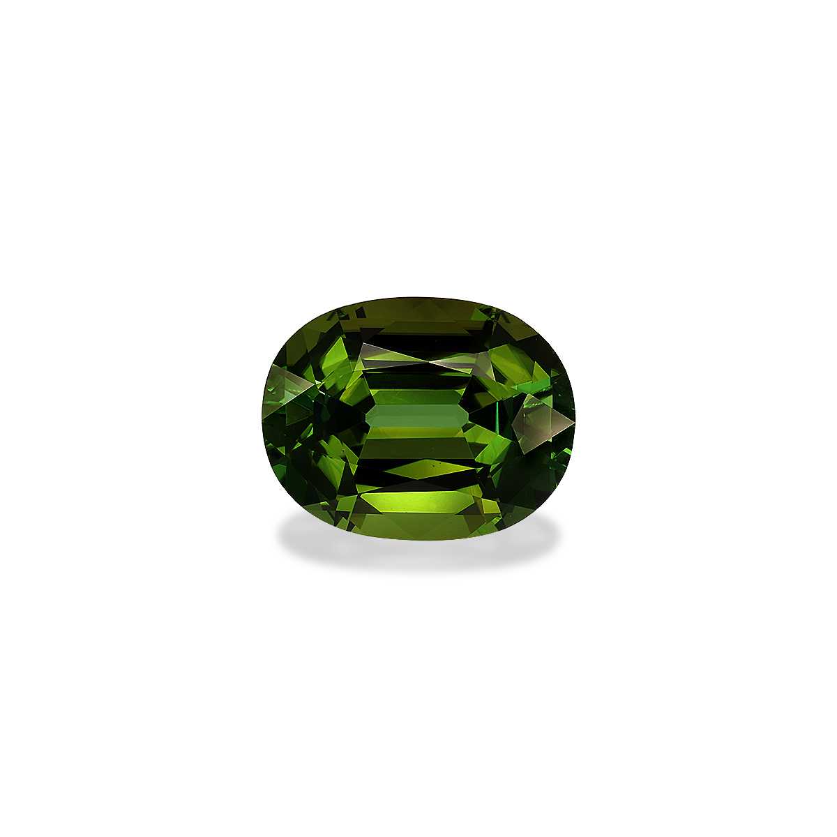 Forest Green Tourmaline 21.76ct