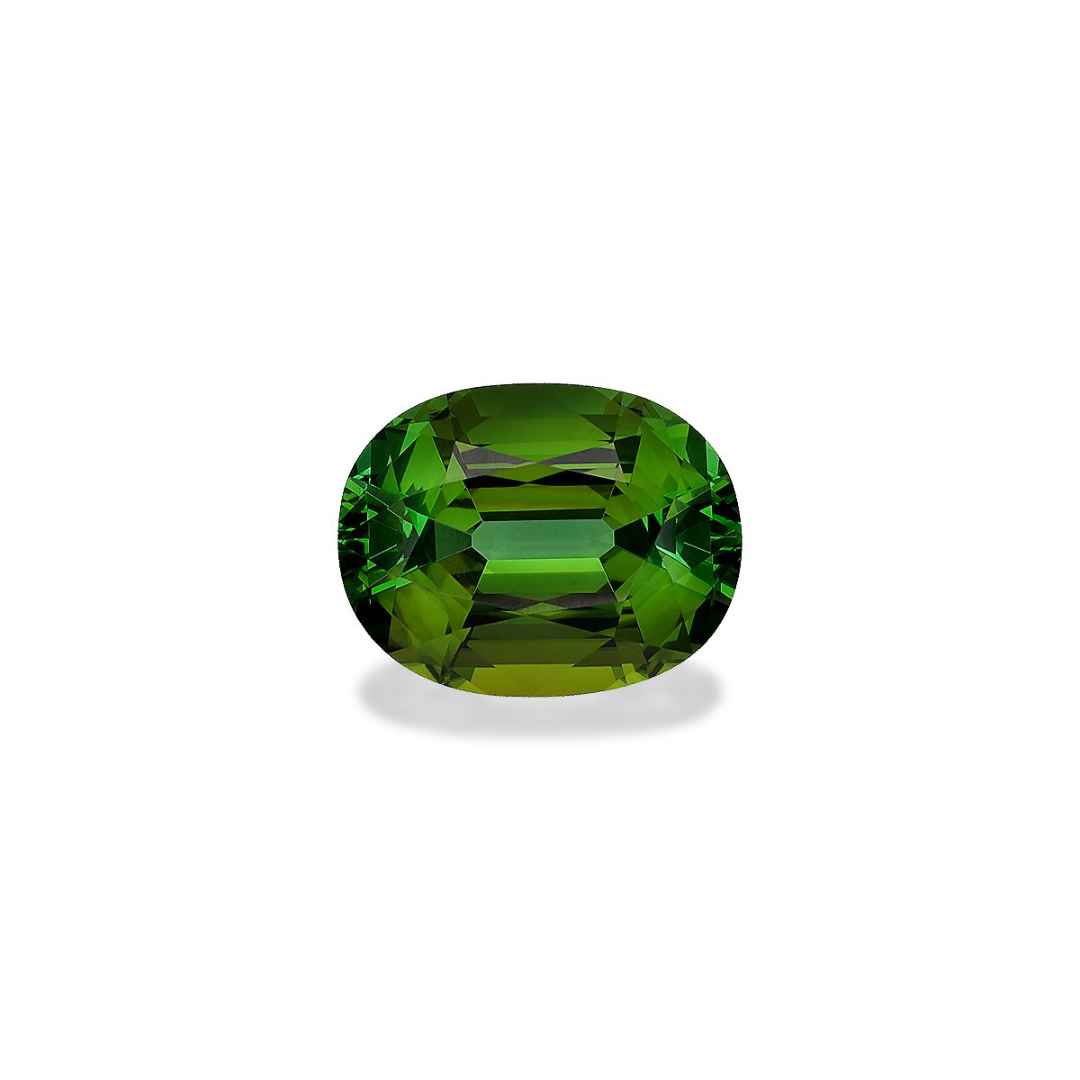forest green green tourmaline, 21.57ct oval cut — main view