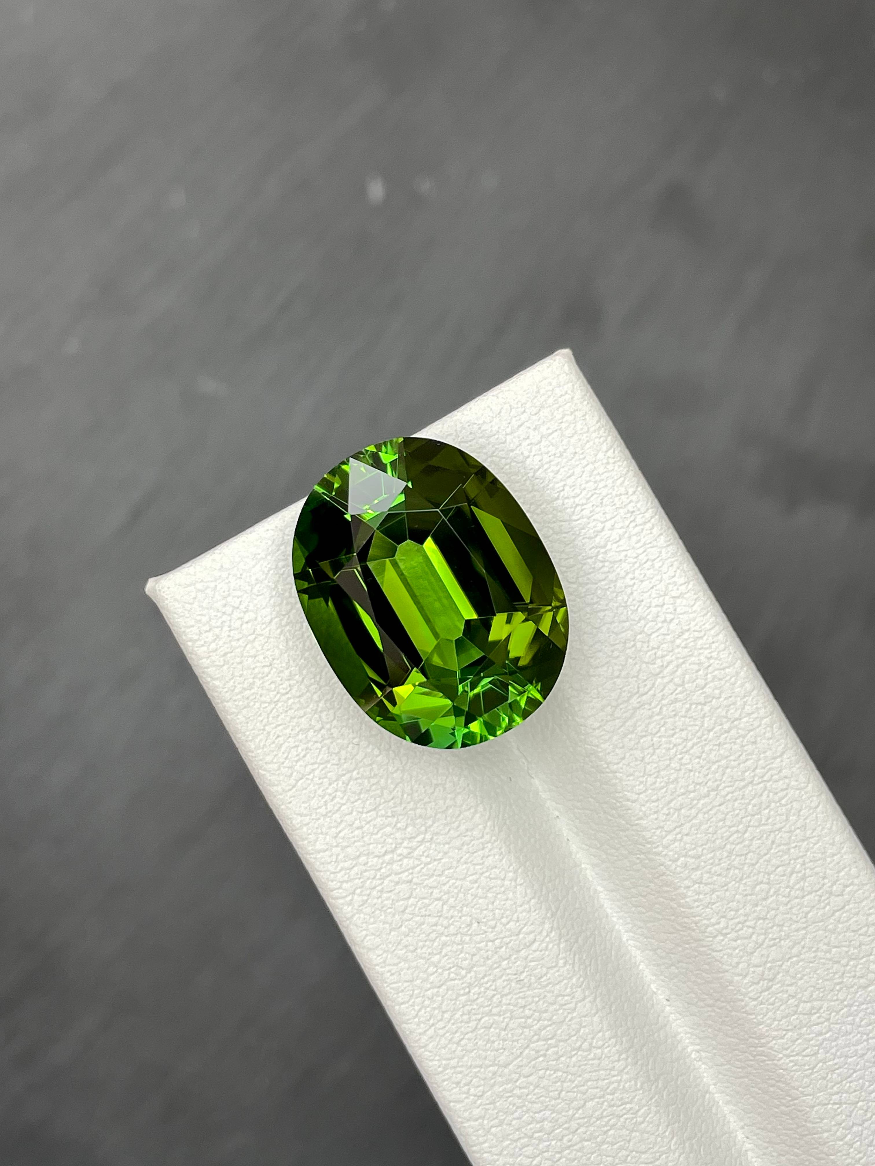 forest green green tourmaline, 21.57ct oval cut — view 5