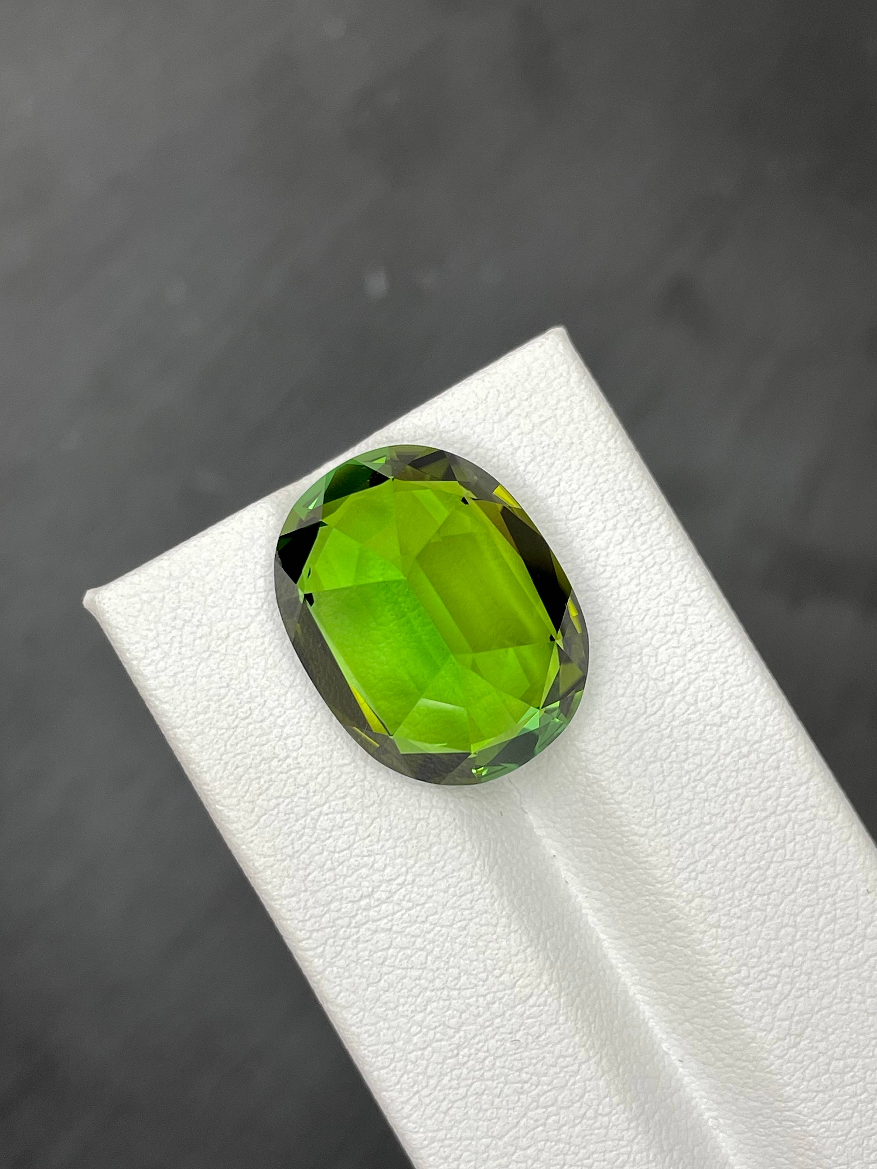 forest green green tourmaline, 21.57ct oval cut — view 6