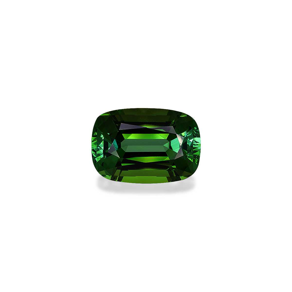Forest Green Tourmaline 20.66ct