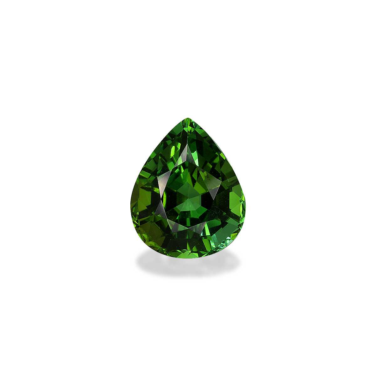 Forest Green Tourmaline 6.6ct - 13x11mm