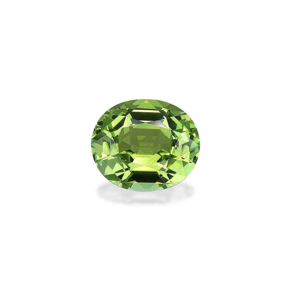 Pistachio Green Tourmaline 8.94ct - 15x13mm