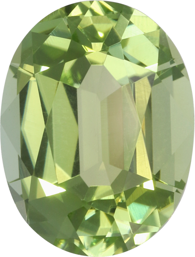 Oval cut green tourmaline, 10.66 by 8.14 mm, shown at actual size