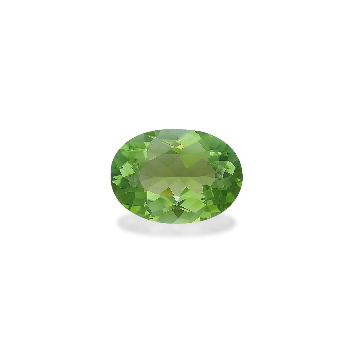 Lime Green Tourmaline 6.91ct