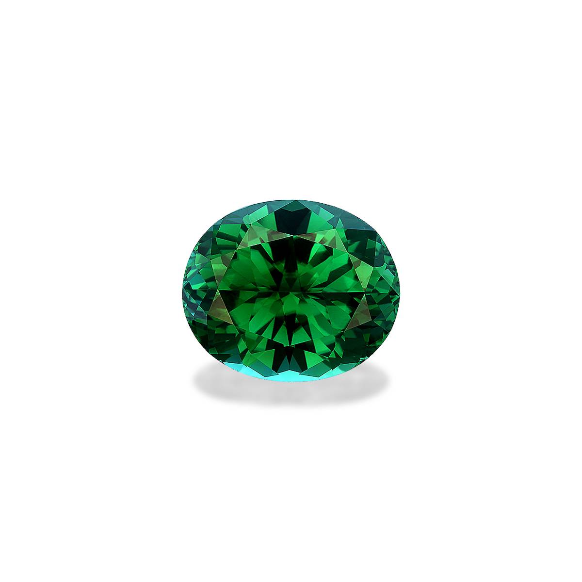 Vivid Green Tourmaline 13.16ct