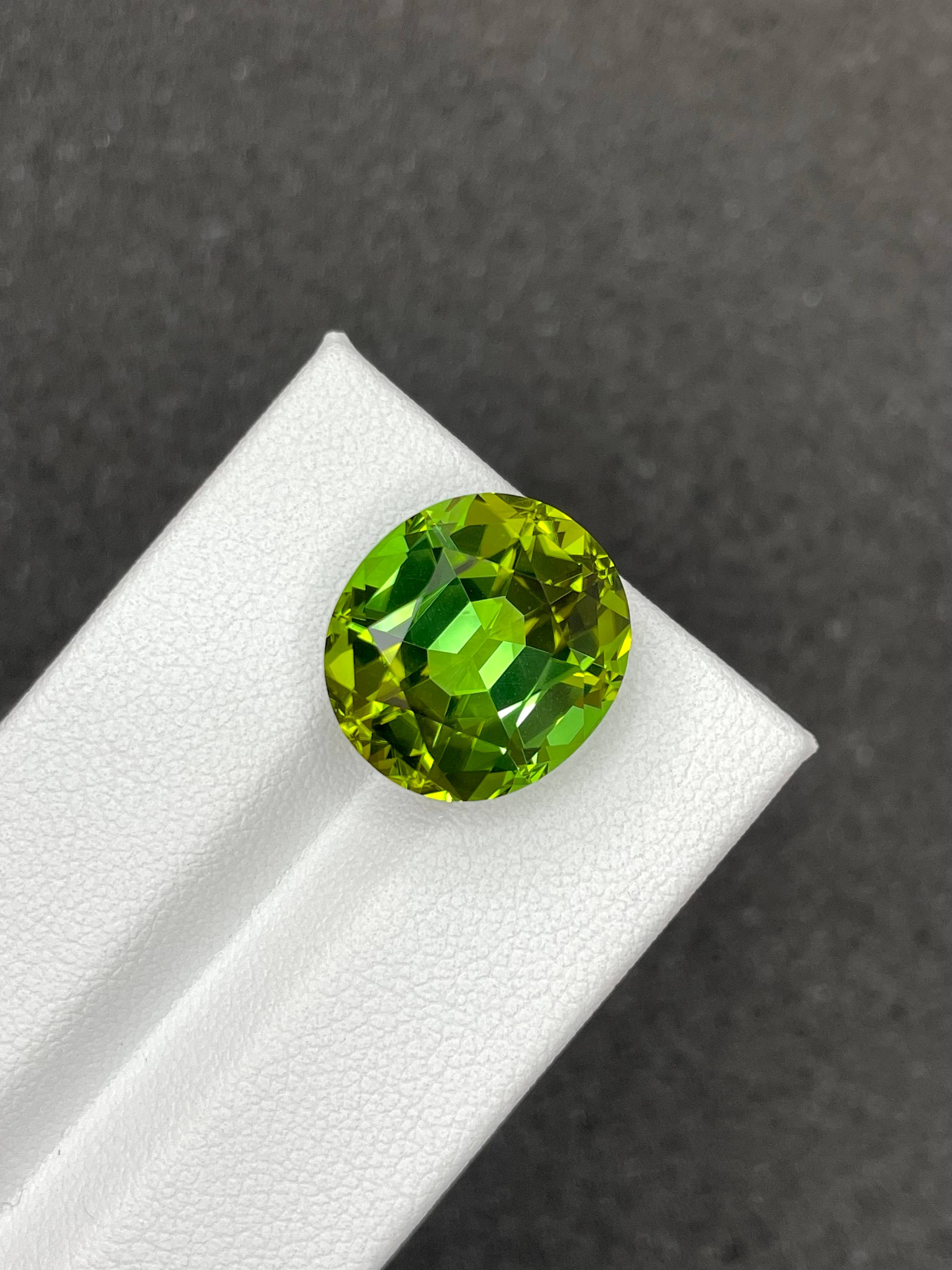 green green tourmaline, 12.66ct oval cut — view 5