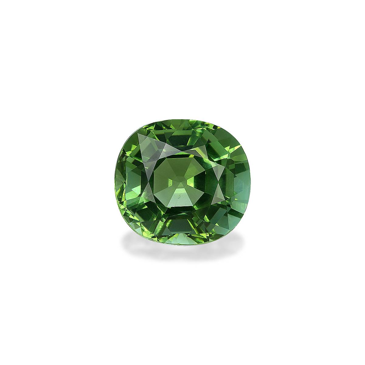 Olive Green Tourmaline 13.39ct