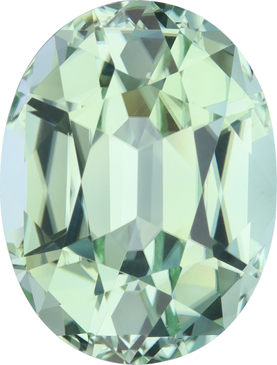 Oval cut green tourmaline, 18.95 by 14.45 mm, shown at actual size