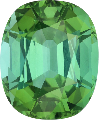 Cushion cut green tourmaline, 16.15 by 13.3 mm, shown at actual size