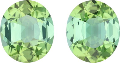 Oval cut green tourmaline, 13.51 by 11.54 mm, shown at actual size