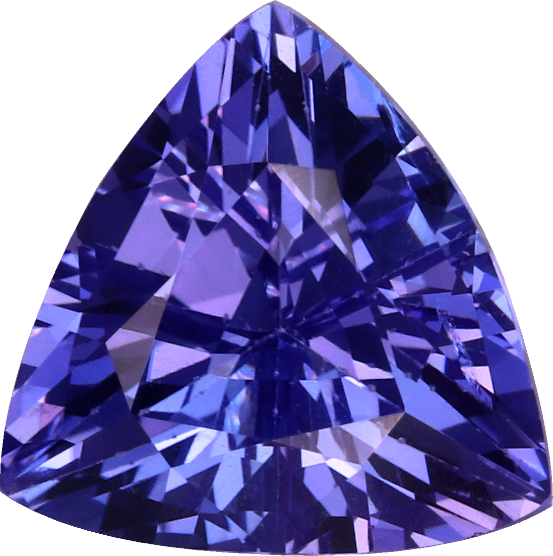 Trilliant cut tanzanite, 9.07 by 8.79 mm, shown at actual size