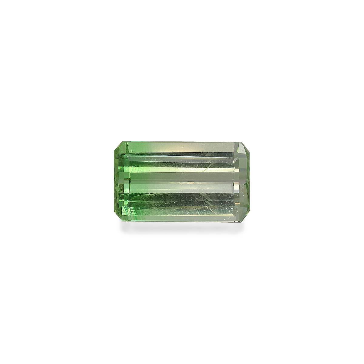 Bi Colour Tsavorite 3.24ct