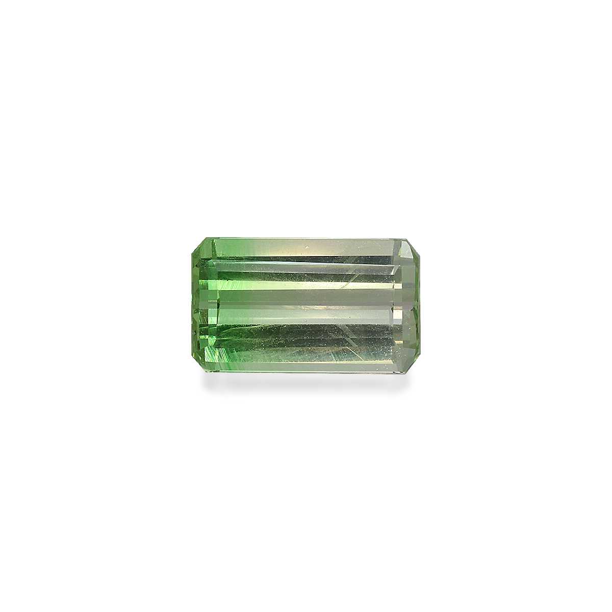 Bi Colour Tsavorite 3.24ct