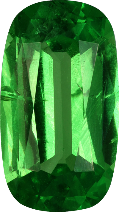 Oval cut tsavorite garnet, 11.05 by 6.22 mm, shown at actual size