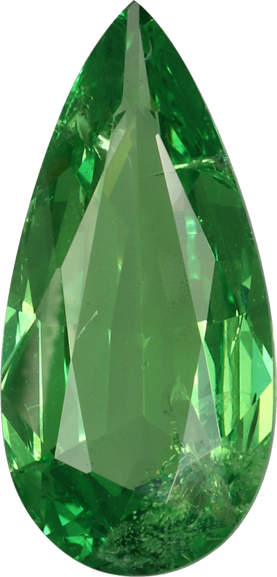 Pear cut tsavorite garnet, 14.83 by 7.04 mm, shown at actual size