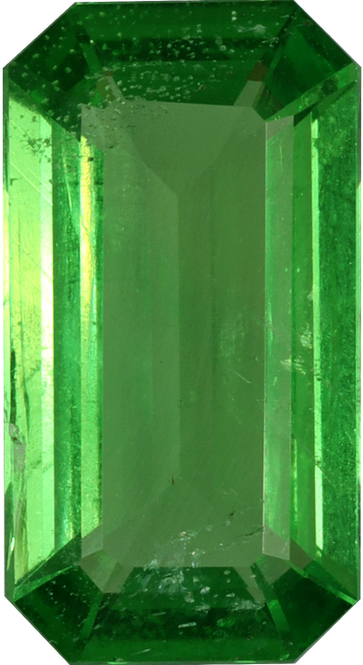 Rectangular cut tsavorite garnet, 10.7 by 5.78 mm, shown at actual size